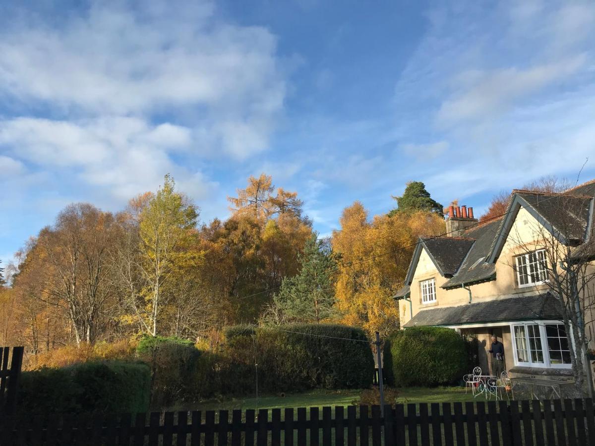 Rowan Cottage, Crannachcottages Garve Exterior foto